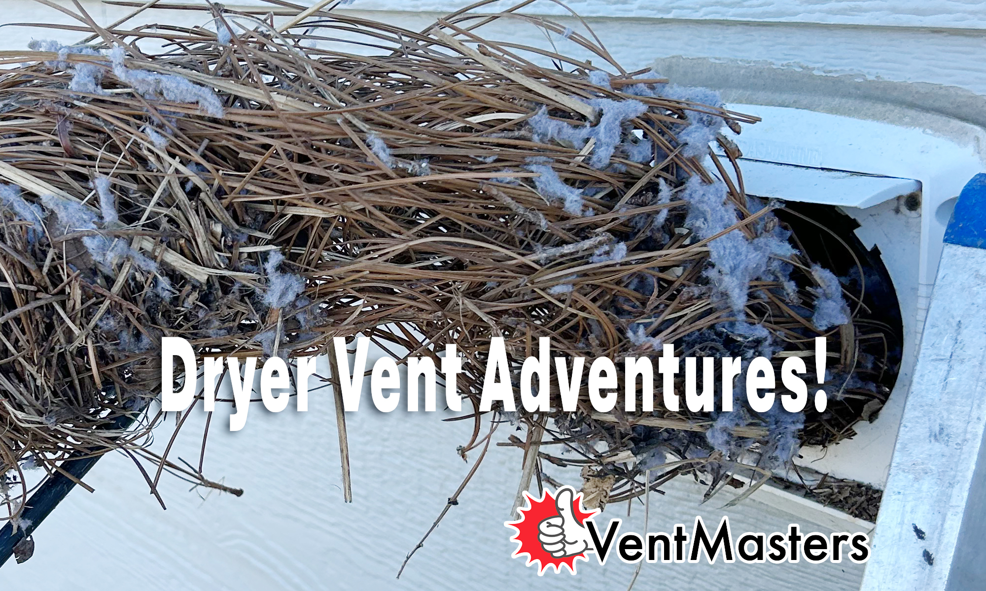 Vent Masters safely removes bird nests from dryer vents.
